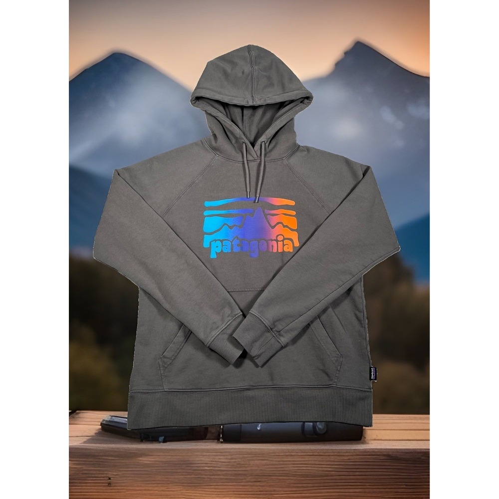 Patagonia Mens M Noble Grey Fitz Roy Horizon Logo Organic Cotton Hoodie 39607